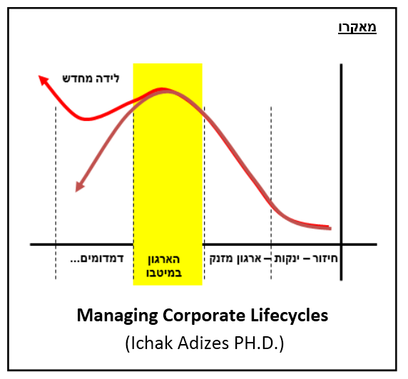 Ichak Adizes- Corporate Lifecycles